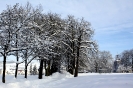 Winter 2010-11